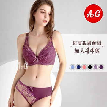【A2G】隔日到貨【F罩杯、加大44碼】台灣出貨 大尺碼內衣  超薄襯墊 寬版內衣 蕾絲托高 U型美背 3708