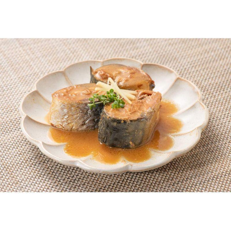 信田缶詰 銚子産 鯖味噌煮 180g ×12個