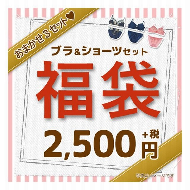 福袋 ブラショーツセット ブラセット 下着 女性 レディース 上下セット 安い 送料無料 3点セット ブラジャー ショーツ セット 総額5000円相当の 福袋 通販 Lineポイント最大0 5 Get Lineショッピング