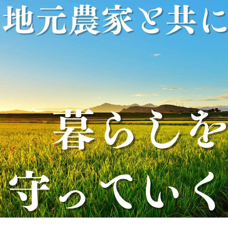 新米 令和5年 米 お米 5kg 送料無料 新潟県産こしいぶき 5kg 送料無料 米 コメ こめ 新潟県米 産地直送 直送