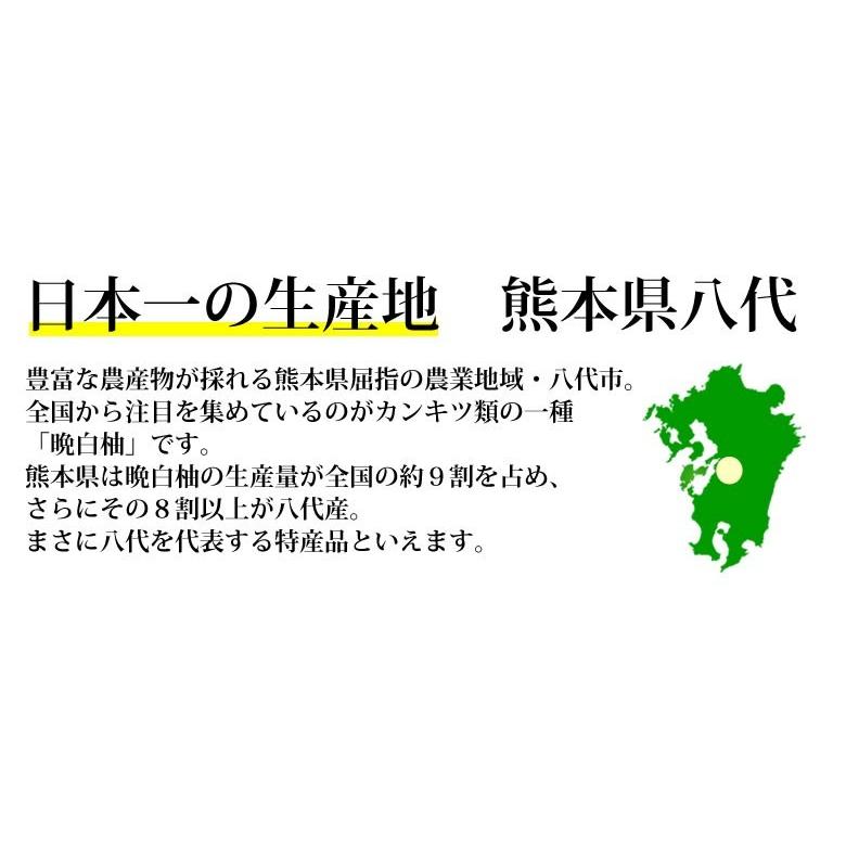 晩白柚 みかん ばんぺいゆ 訳あり 送料無料 約3kg〜4kg 2玉入 M〜2Lサイズ 世界最大級の柑橘 熊本県八代産 蜜柑 ミカン