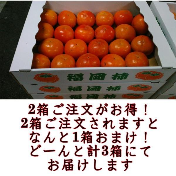 富有柿　訳あり　約5ｋｇ　サイズ3Ｌ〜Ｓ　2箱購入で1箱おまけ！！熊本・福岡産　80サイズ