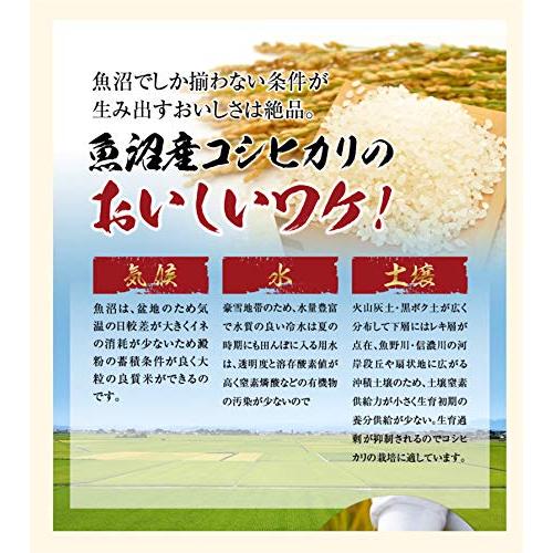 令和４年産 魚沼産 コシヒカリ JAみなみ魚沼農協産 安心のＪＡ農協 天地米 5kg