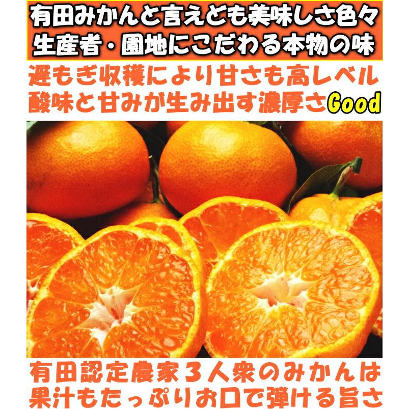 みかん 有田 甘い 美味しい 糖度 和歌山 fromありだ 樹上完熟 早生 温州 5kg l or m サイズ お歳暮 贈答用