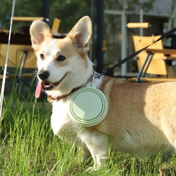 【汪喵森活】 15cm 中大型犬 折疊碗 寵物外出碗 矽膠折疊碗 附扣環 摺疊碗 狗外出碗 狗碗 外出矽膠碗 寵物折疊碗