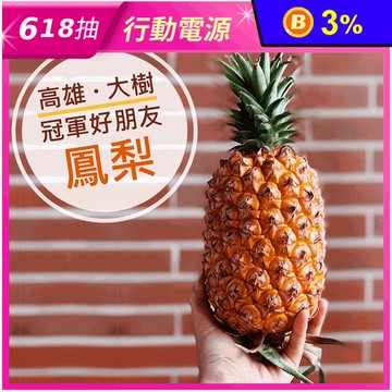 【歐吉商】高雄大樹亞軍安心金鑽鳳梨10公斤裝 大樹農會 得獎鳳梨 箱購水果