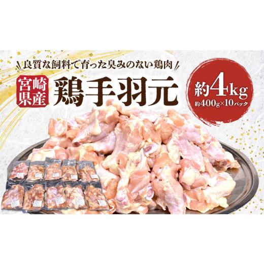 ふるさと納税 宮崎県 宮崎市 宮崎県産 鶏手羽元約4kg_M262-008