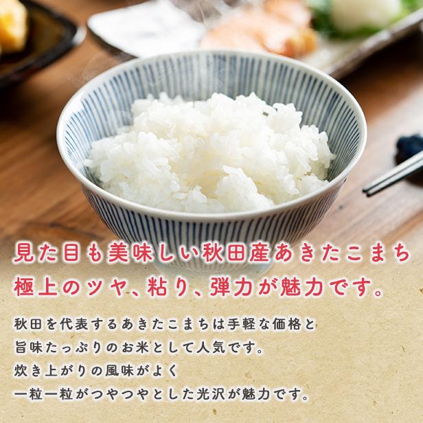 新米！令和5年産秋田県産 あきたこまち10ｋｇ 5ｋｇ×2袋  厳選されたおいしいお米