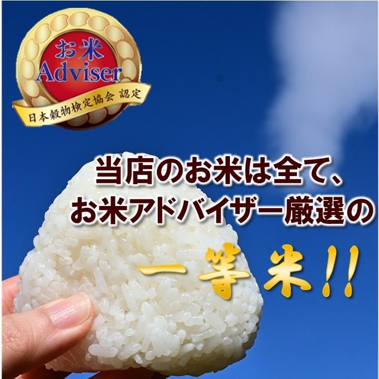 玄米 特別栽培米 10kg あきたこまち 秋田県産 5kg×2 減農薬米