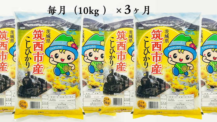  茨城県筑西市産 コシヒカリ10kg 米 コメ こしひかり 定期便3回 30kg 茨城県 単一米 精米 [CH008ci]