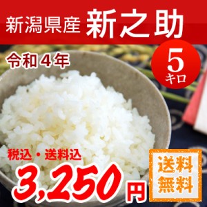 令和4年産 新潟県産 新之助 （しんのすけ） 白米5kg  