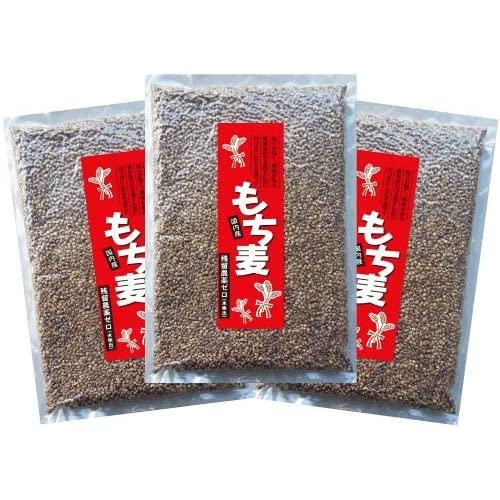 もち麦　ダイシモチ　雑穀　穀類　国産　1kg×3袋　残留農薬ゼロ不検出　おためし価格セール中