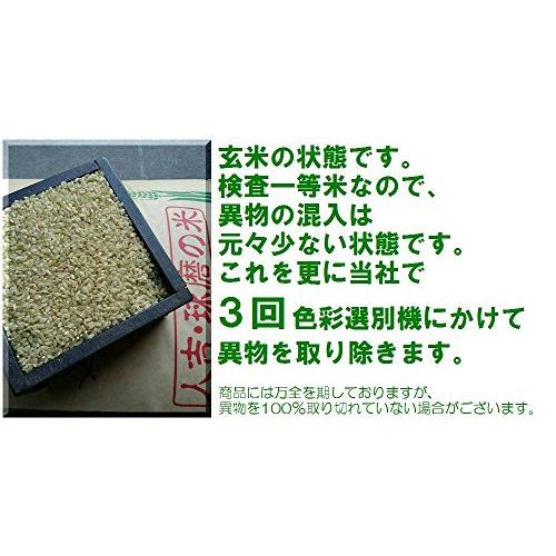 新米 令和5年 熊本県 球磨地方産 白米 ひのひかり 10kg