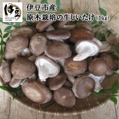 ふるさと納税 伊豆市 原木栽培の伊豆産 生しいたけ 1kg