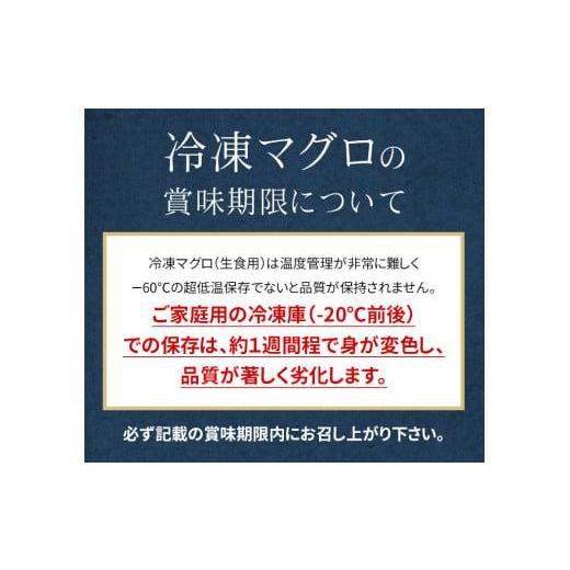 ふるさと納税 福島県 いわき市 本マグロ訳あり赤身700g　解凍レシピ付　本マグロの赤身食べ放題！