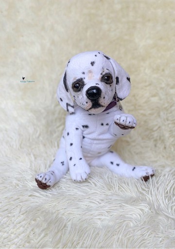 斑点狗小狗现实玩具