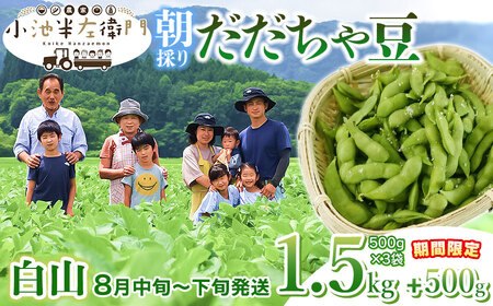 数量限定朝採りだだちゃ豆 1.5kg 500g (500g×4袋) 枝豆　小池半左衛門