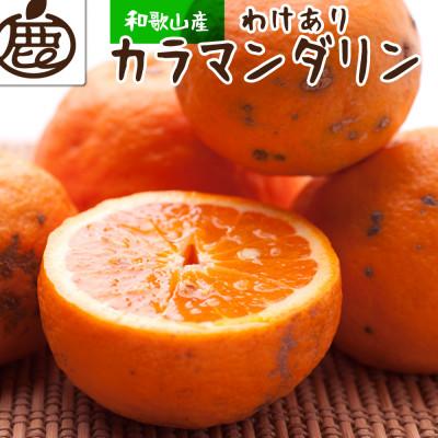 ふるさと納税 広川町 家庭用 カラマンダリン5kg 150g(傷み補償分)