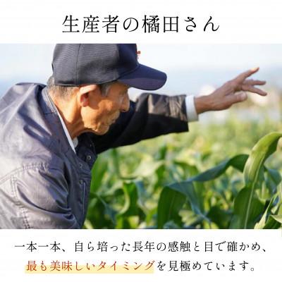 ふるさと納税 甲府市 Inakakara「きみひめ」とうもろこし6本