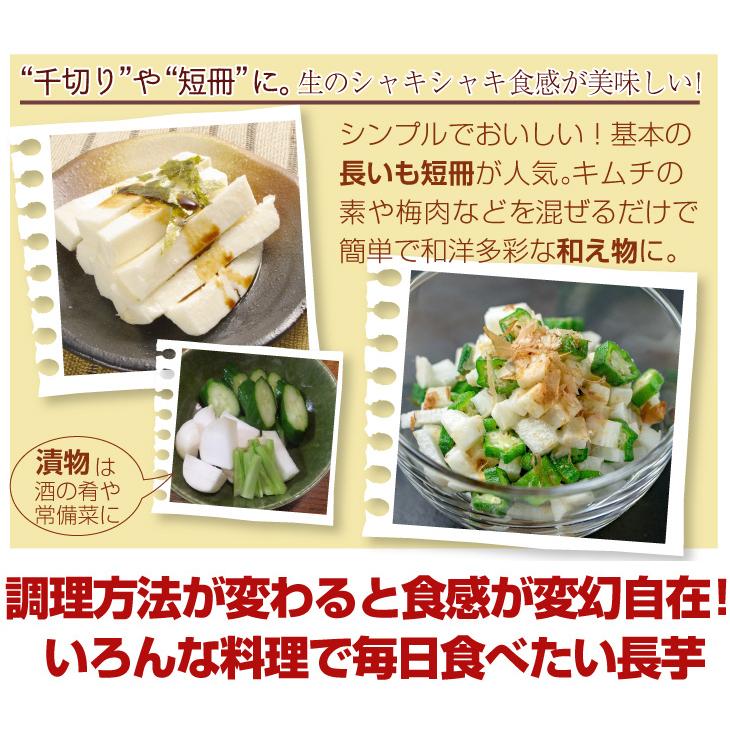 長いも 2.5kg 土付き長いも 青森産 500g×5袋 規格外 切れ子 送料無料 食品