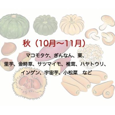 ふるさと納税 南伊豆町 湯の花　季節の野菜と果物セット