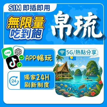 【飛網科技】帛琉上網卡 總量不斷網 sim卡 水母湖 洛克群島 柯羅州上網卡 旅游卡可充值 旅遊網卡 即插即用