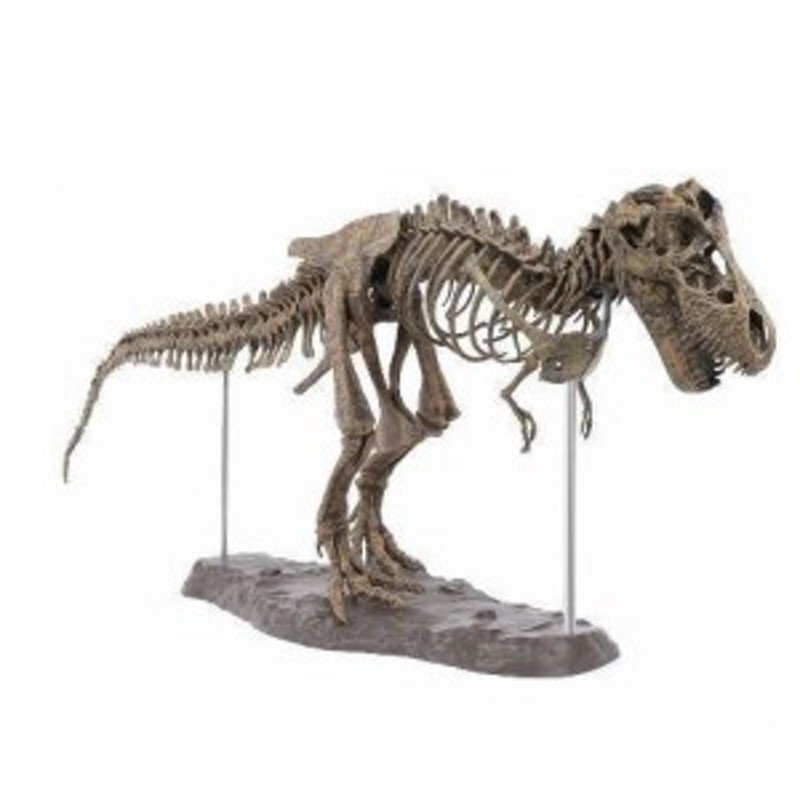 極上ティラノサウルスレックス歯化石Ｔ-rex Amazon | SCIENCE Fossil Replica T-REX Tooth「T-REX