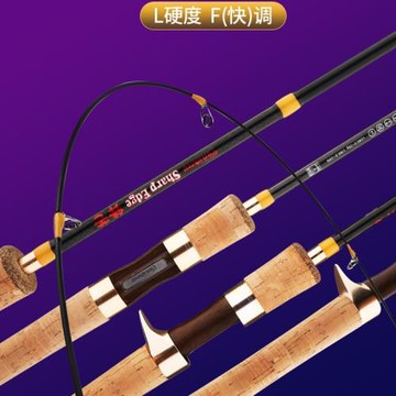 跨境雙魚路滑竿路亞滑漂竿碳素L調大導環直柄槍柄魚竿馬口竿