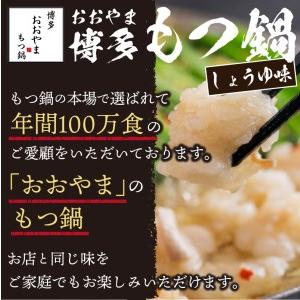 ふるさと納税 「おおやま」博多もつ鍋(しょうゆ味／2人前) 福岡県飯塚市