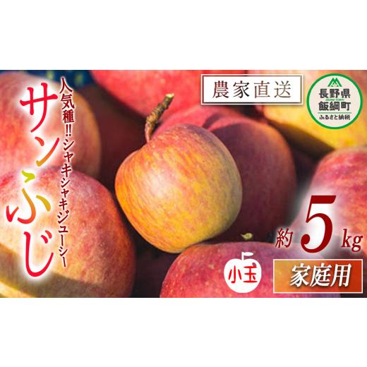 ふるさと納税 長野県 飯綱町 りんご サンふじ 家庭用 小玉 5kg 関農園 沖縄県への配送不可 2024年1月上旬頃から2024年2月上旬頃まで順次発送予定 エコファ…