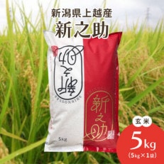 令和5年・新潟県上越産|新潟ブランド米「新之助」 玄米5kg