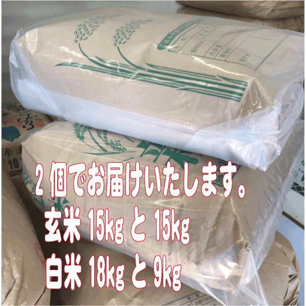 令和5年産新米　玄米30kg　送料無料　茨城ミルキークイーン