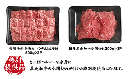 宮崎牛お任せ赤身焼肉と黒毛和牛小間切れセット