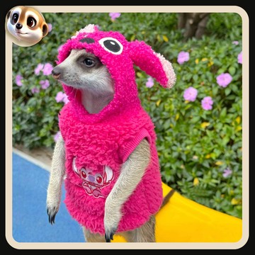 【XL-LX】秋冬保暖 加厚保暖衛衣 狐獴 黑尾土撥鼠 龍貓 雪貂 荷蘭豬等小寵 均可定製