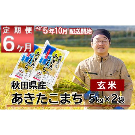 ふるさと納税 330P9002　秋田県産米「あきたこまち（玄米）」 10kg（5kg×2袋） 秋田県大館市