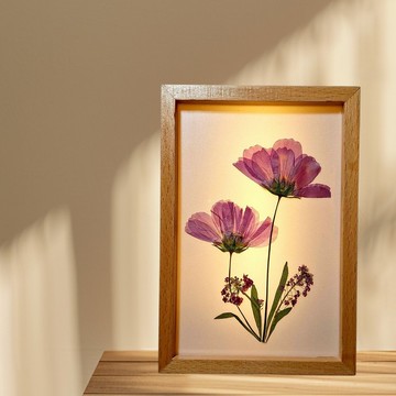 手作押花LED小夜燈 | 文創小夜燈 l 波斯菊 l 可調式小夜燈