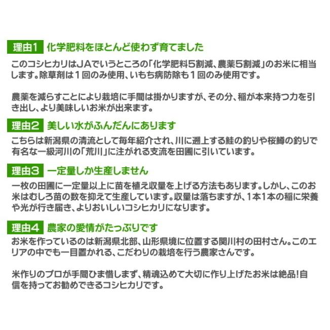 無洗米 農薬低減米 コシヒカリ 10kg 米 お米   低農薬 新潟 岩船産 令和5年産 新米   人気 おいしい 新潟米 こしひかり 送料無料