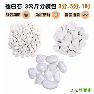 極白石 3公斤分裝包  (3分 5分 1吋)  漢白玉 特白石 鵝卵石 白卵石 花盆裝飾 造園裝飾【綠藝家】