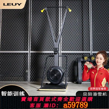 【台灣公司 可打統編】LEUY力依滑雪機室內模擬健身器材初級入門腰椎鍛煉塑形收腹訓練器