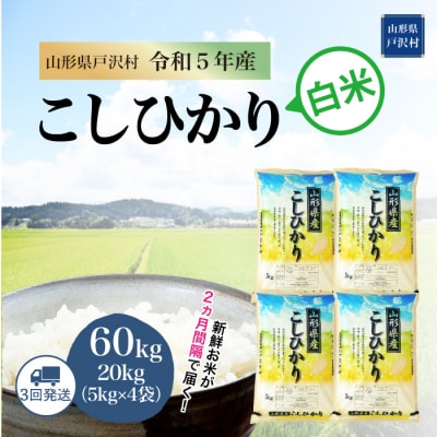 コシヒカリ 定期便 60kg(20kg×3回お届け)山形県 戸沢村