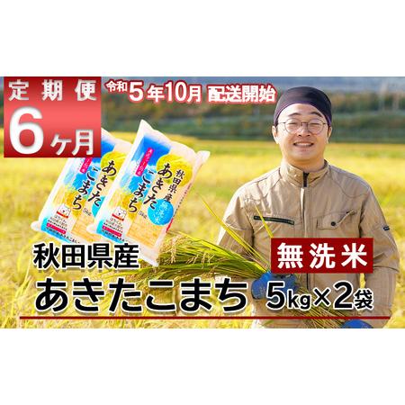 ふるさと納税 330P9201　秋田県産米「あきたこまち（無洗米）」 10kg（5kg×2袋） 秋田県大館市