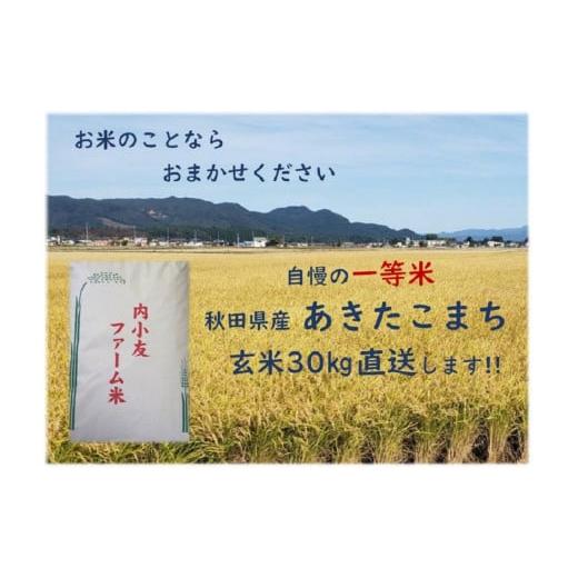 ふるさと納税 秋田県 大仙市 令和5年産 秋田県産あきたこまち 一等米 農家直送 玄米30kg