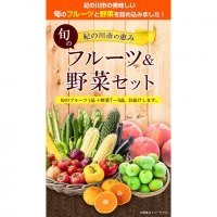 紀の川市の恵み 旬のフルーツ＆野菜セット 計8～10品《お申込み月翌月から出荷開始》和歌山県 紀の川市 フルーツ 果物 野菜 セット 桃 梅 みかん 新玉ねぎ なす トマト キャベツ