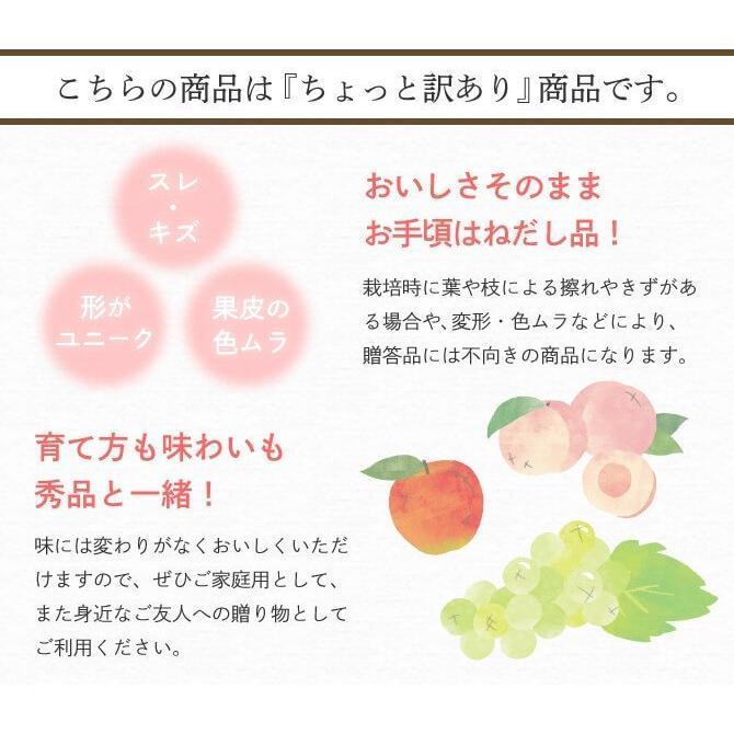 (11月下旬頃より発送) 岡山県産 あたご梨 家庭用 訳あり 大玉2玉入 合計1.6kg以上 愛宕梨 梨 なし ナシ フルーツ