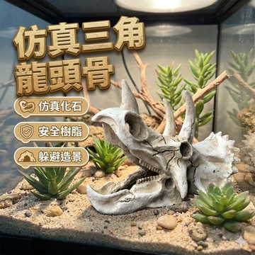 【台灣出貨】爬寵造景頭骨躲避屋｜樹脂三角龍骨化石｜恐龍造景擺設｜飼養箱洞穴曬台｜爬蟲用品裝飾件