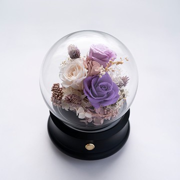 恆星花園藍芽喇叭 - 黑