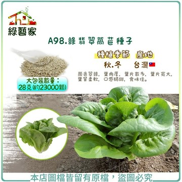 【綠藝家】大包裝A98.綠萵苣種子28克(約23000顆)(顏色翠綠，葉肉厚，葉片數多，葉片寬大