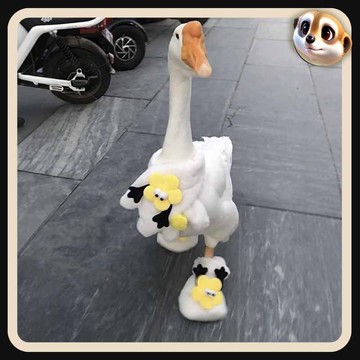 【XL-LX】寵物鵝衣服搞怪太陽花圍巾 秋冬保暖 寵物衣服 貓狗通用 卡通可愛衣服 小鞋子