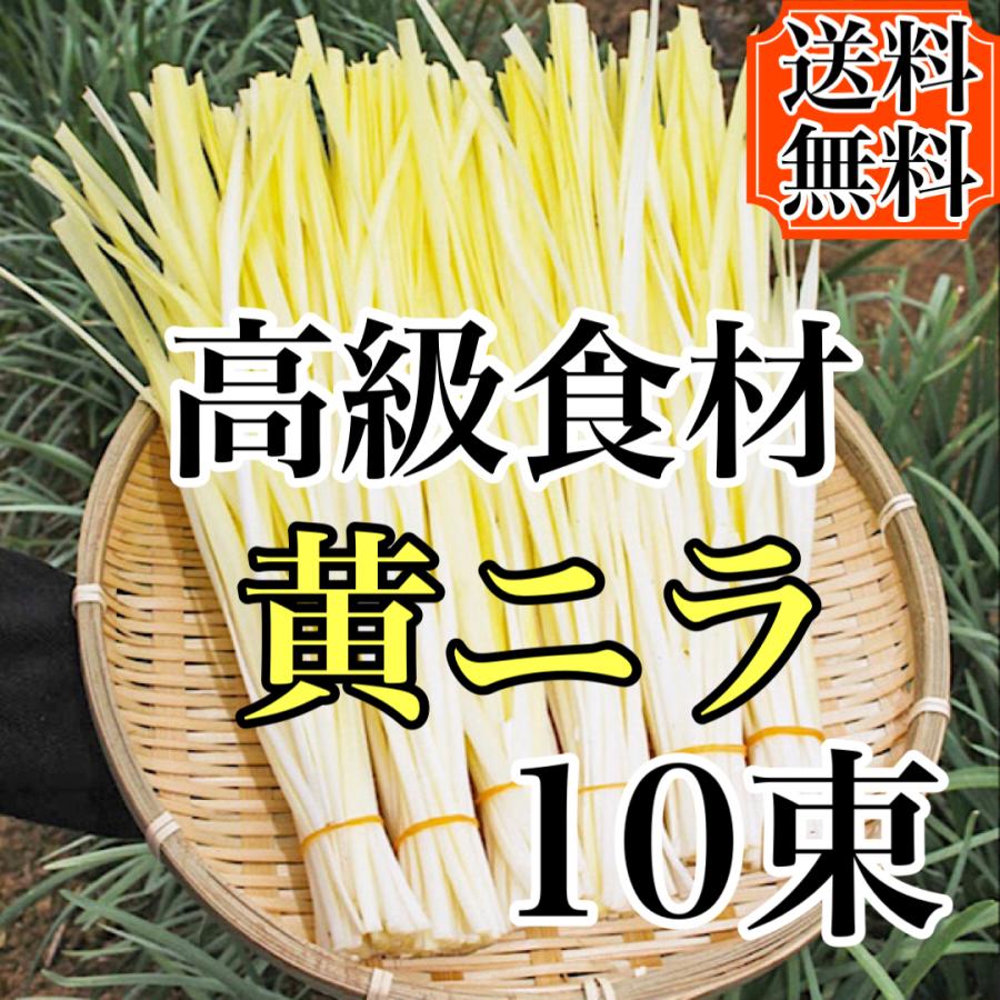 超高級食材!!岡山特産　LINEショッピング　黄ニラ10束入り　送料無料