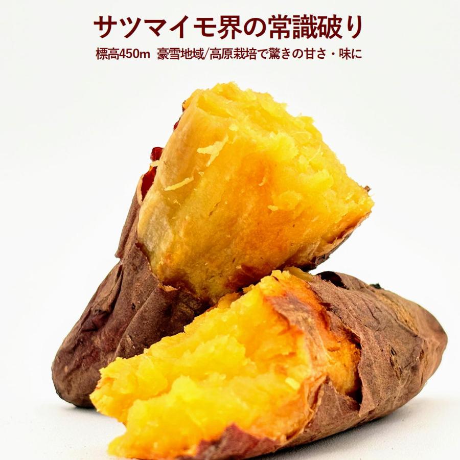 シルクスイート500g 紅はるか500g 食べ比べセット  さつまいも サツマイモ  「森の絹」  甘すぎて研究対象になった ブランド 熟成 蜜芋